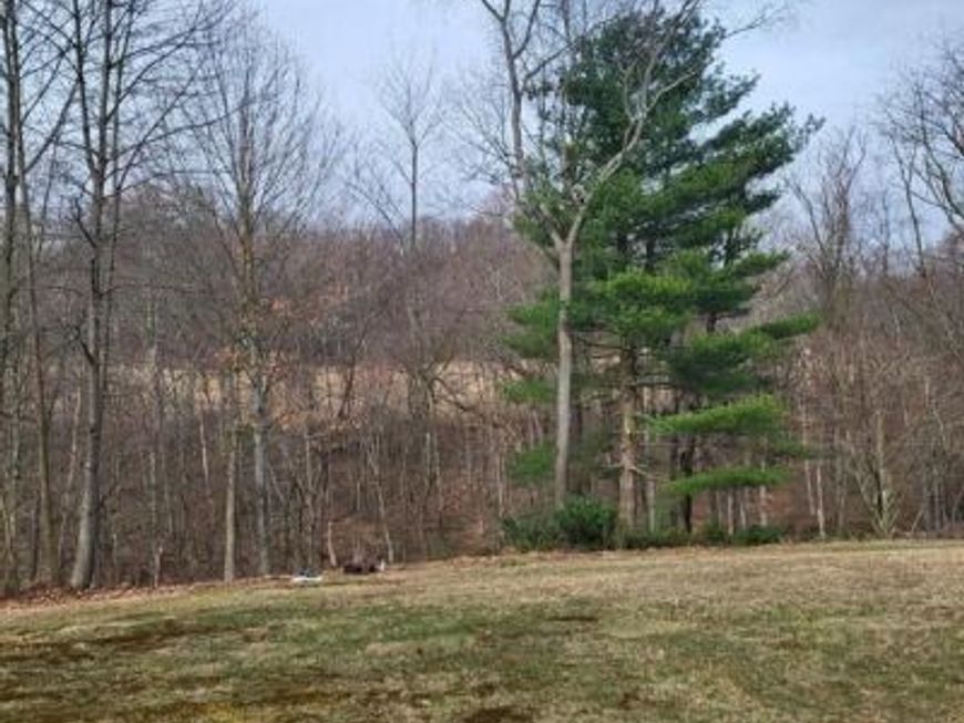 0 Moon Hill Drive, Schuylkill Haven, PA 17972 Main Photo