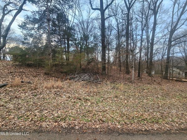 Jackson Road, Nesbit, MS 38651