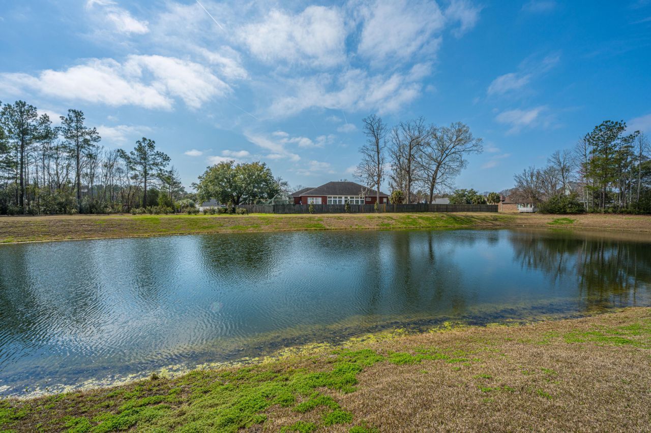 440 Blue Elderberry Run Photo 56