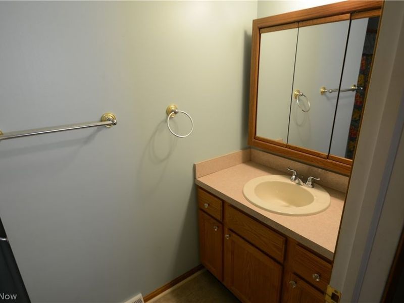 3313 Starwick Drive, Canfield, OH 44406 Photo 8