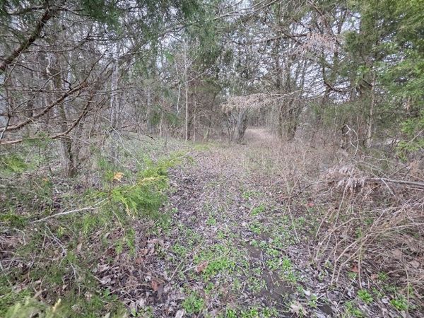 0 Woodmore Hollow Ln , Hartsville, TN 37074