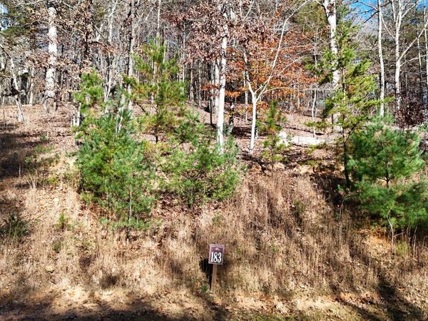 LOT 183 Northshore Drive, Cleveland, GA 30528