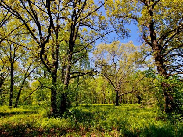 00 Garner Lane , Berryville, AR 72616