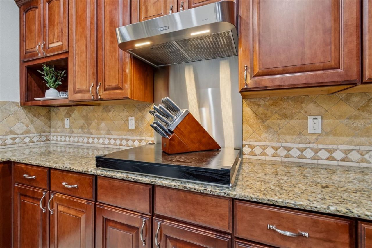1302 Steeple Hill Court, Brandon, FL 33511 Photo