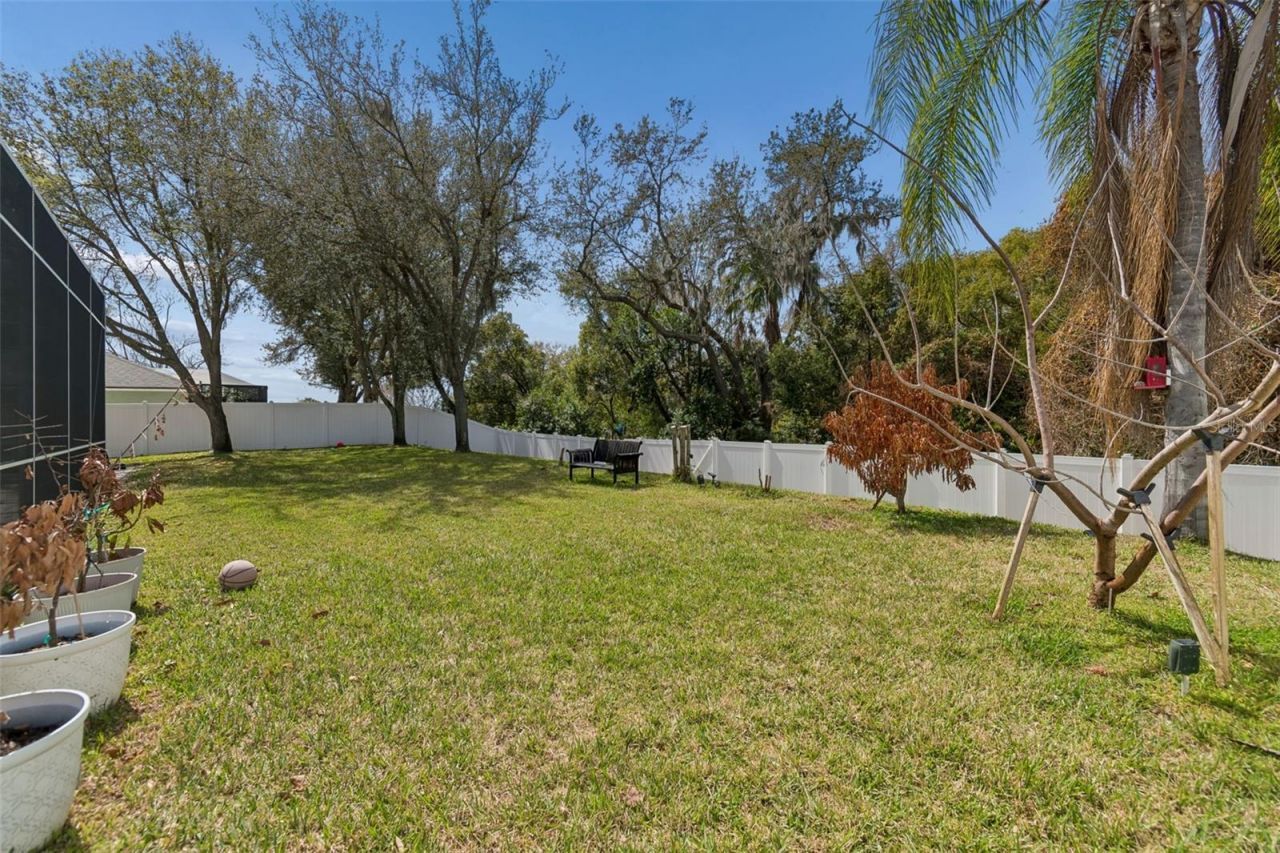 1302 Steeple Hill Court, Brandon, FL 33511 Photo