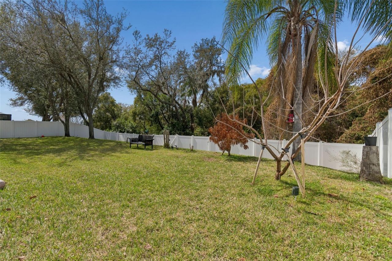 1302 Steeple Hill Court, Brandon, FL 33511 Photo