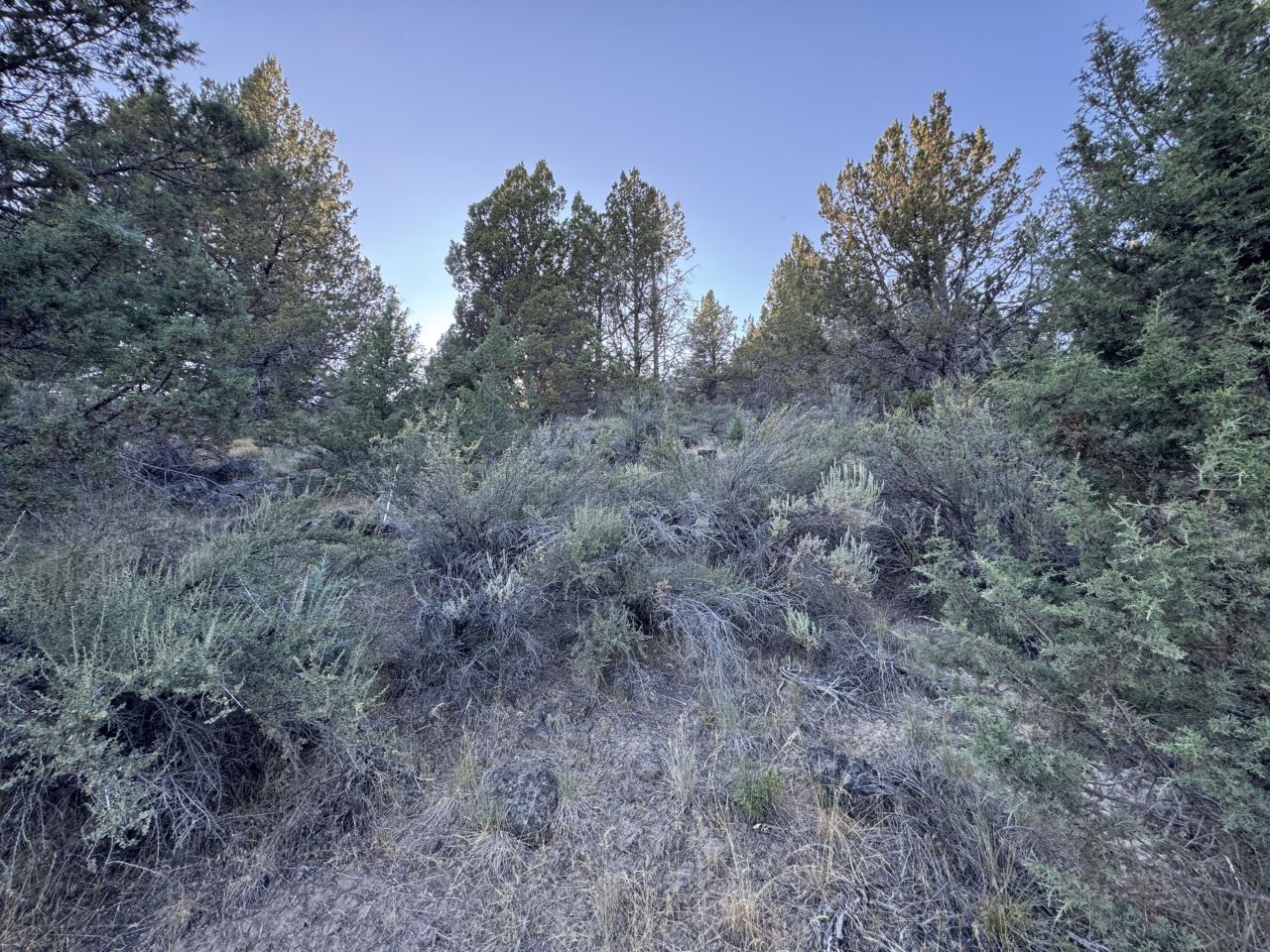 Nimrod River Park, Sprague River, OR Homes for Sale and Real