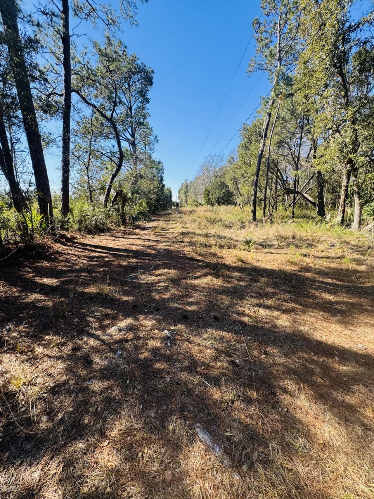 0 Rosa Scott Road Photo 13