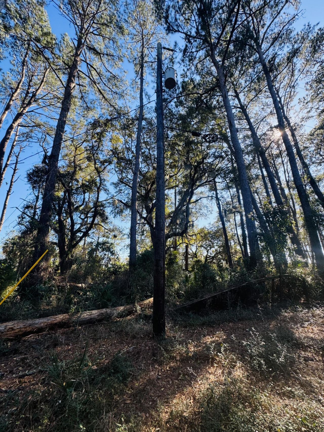 0 Rosa Scott Road Photo 15