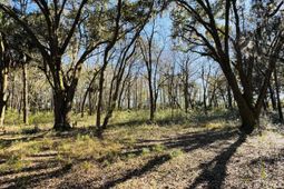 0 Rosa Scott Road photo 4