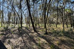 0 Rosa Scott Road photo 4