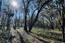 0 Rosa Scott Road photo 4