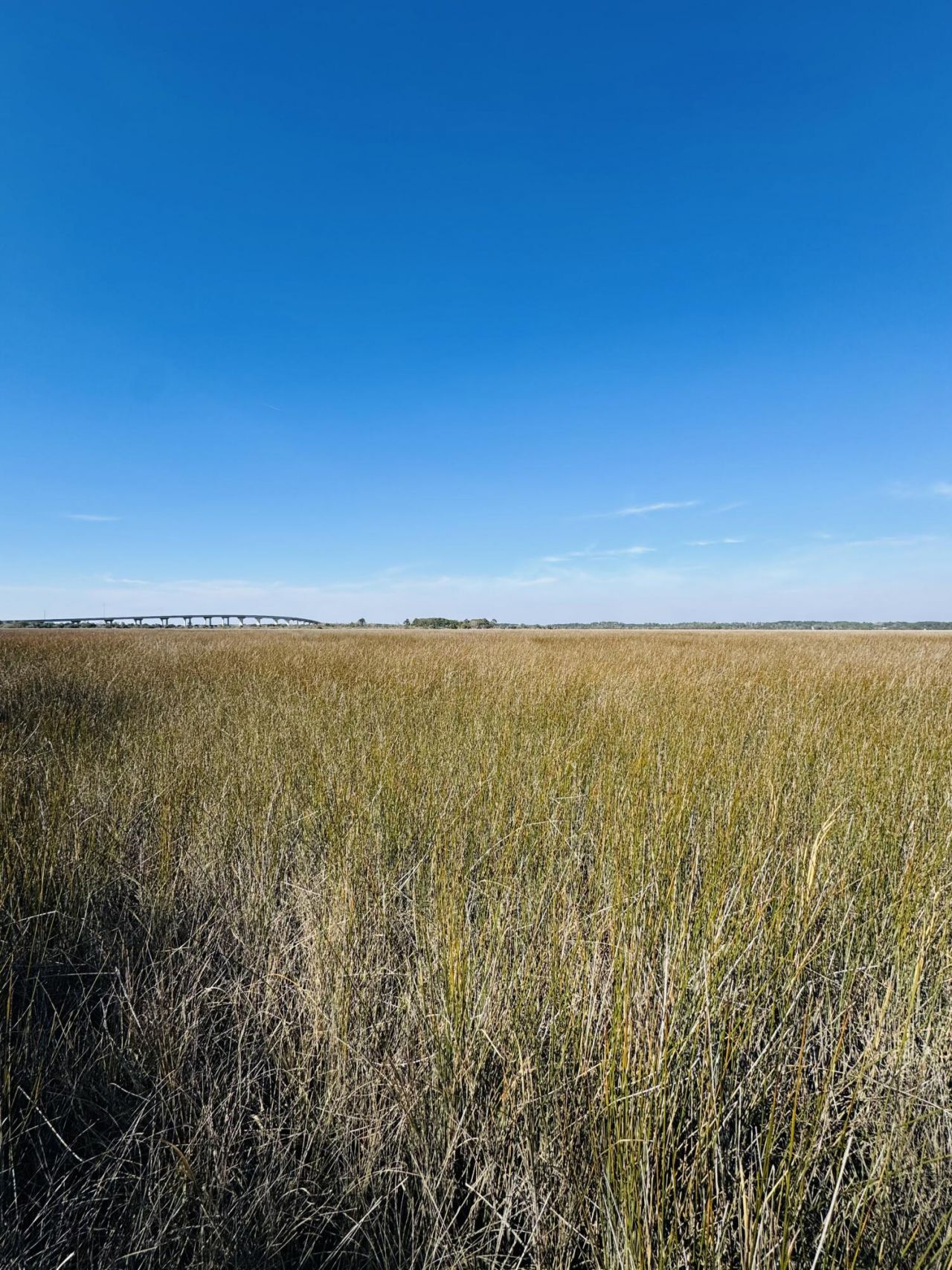 0 Rosa Scott Road Photo 8