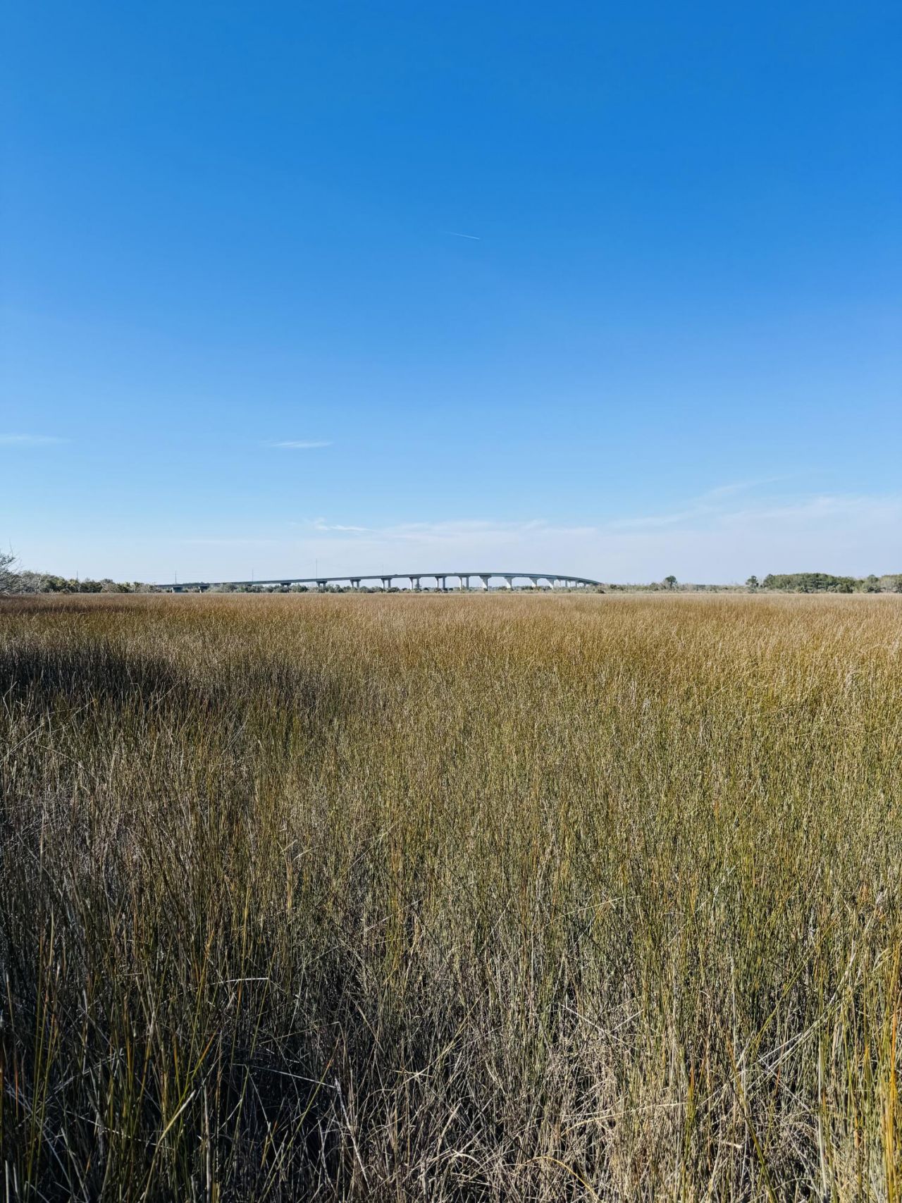 0 Rosa Scott Road Photo 9