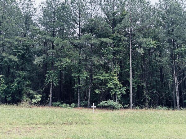 3525 Crockett Point, Jasper, TN 37347