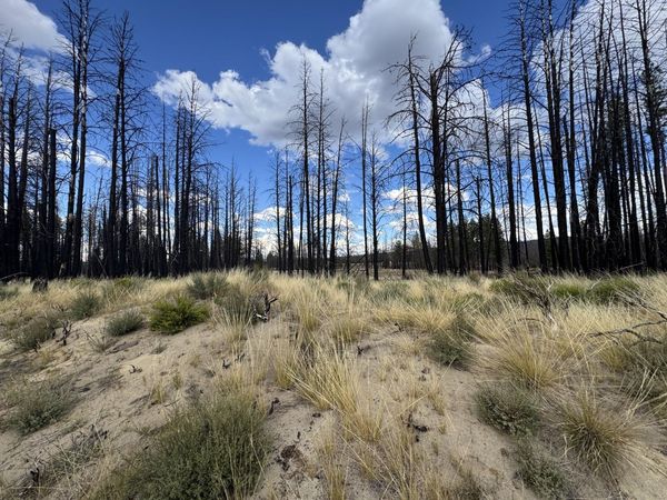 0 Shasta Fir Lane, Unit 9, Beatty, OR 97621