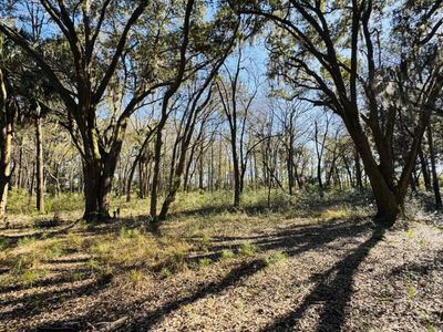 00 Rosa Scott Road, Edisto Island, SC 29438