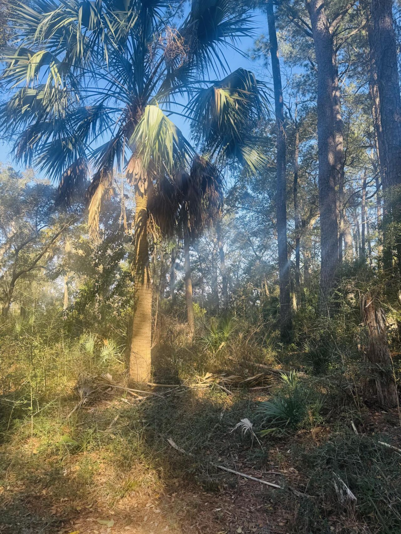 00 Rosa Scott Road Photo 10