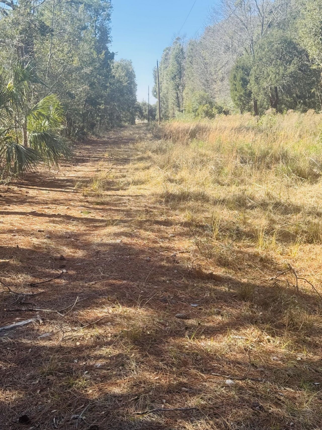 00 Rosa Scott Road Photo 14