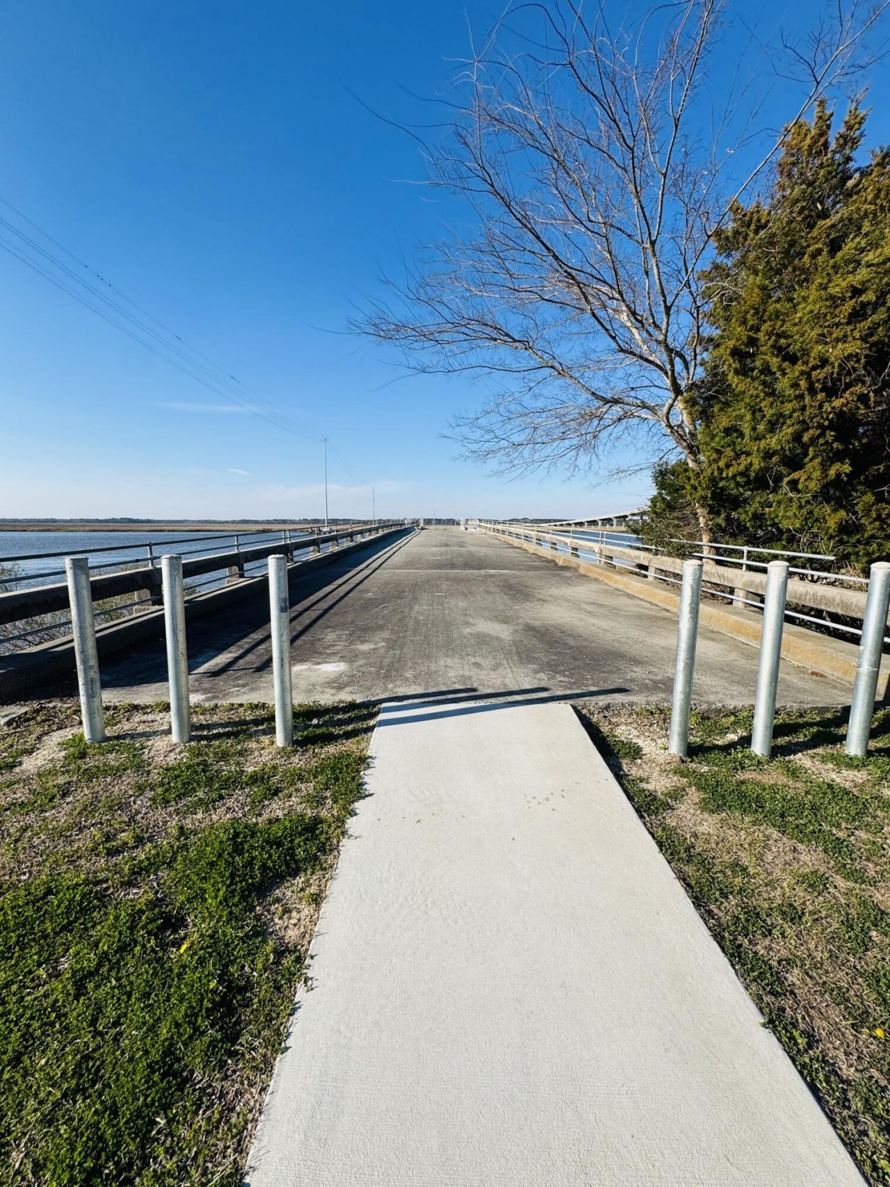 00 Rosa Scott Road Photo 24