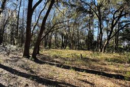 00 Rosa Scott Road photo 4