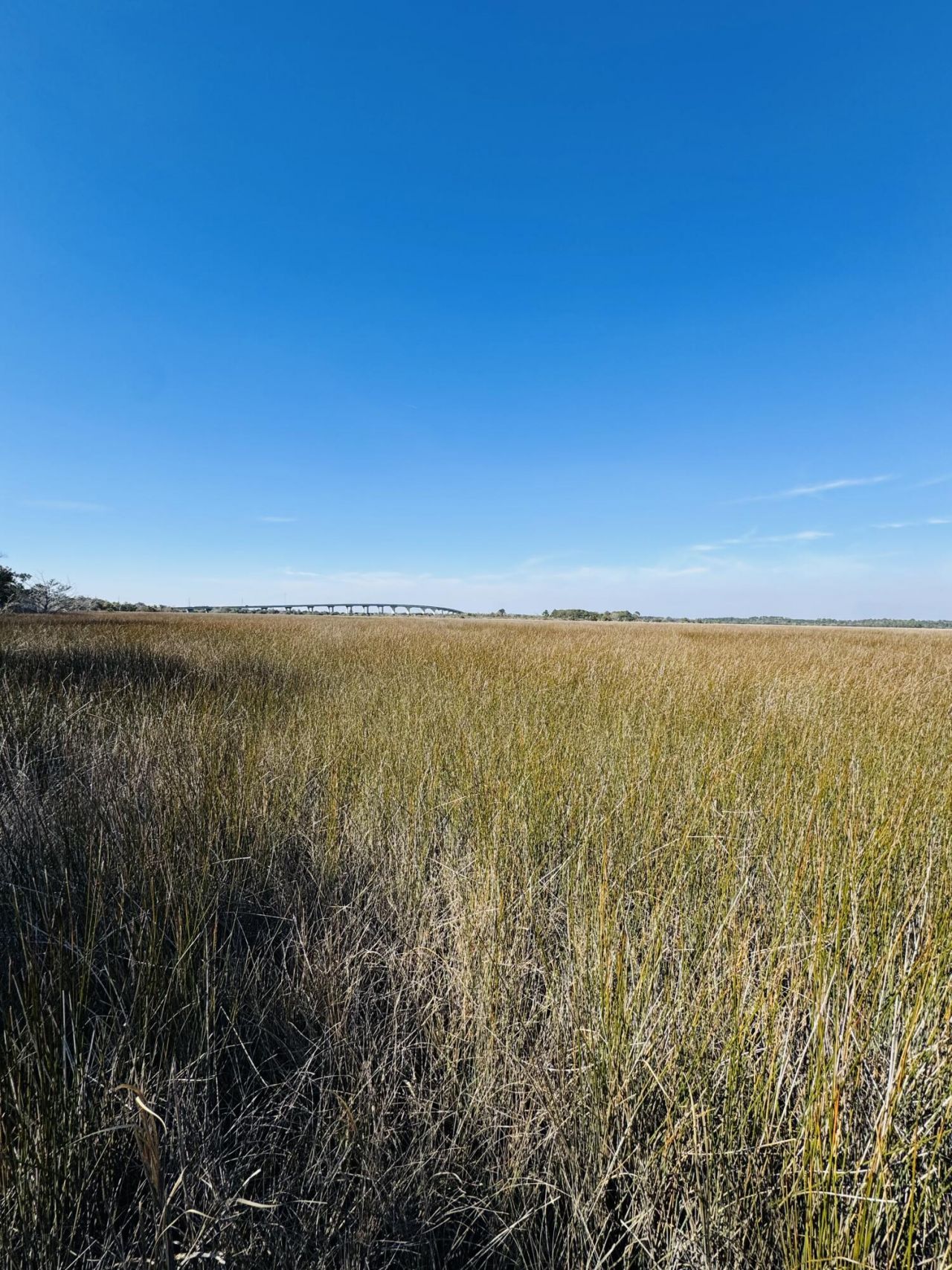 00 Rosa Scott Road Photo 5