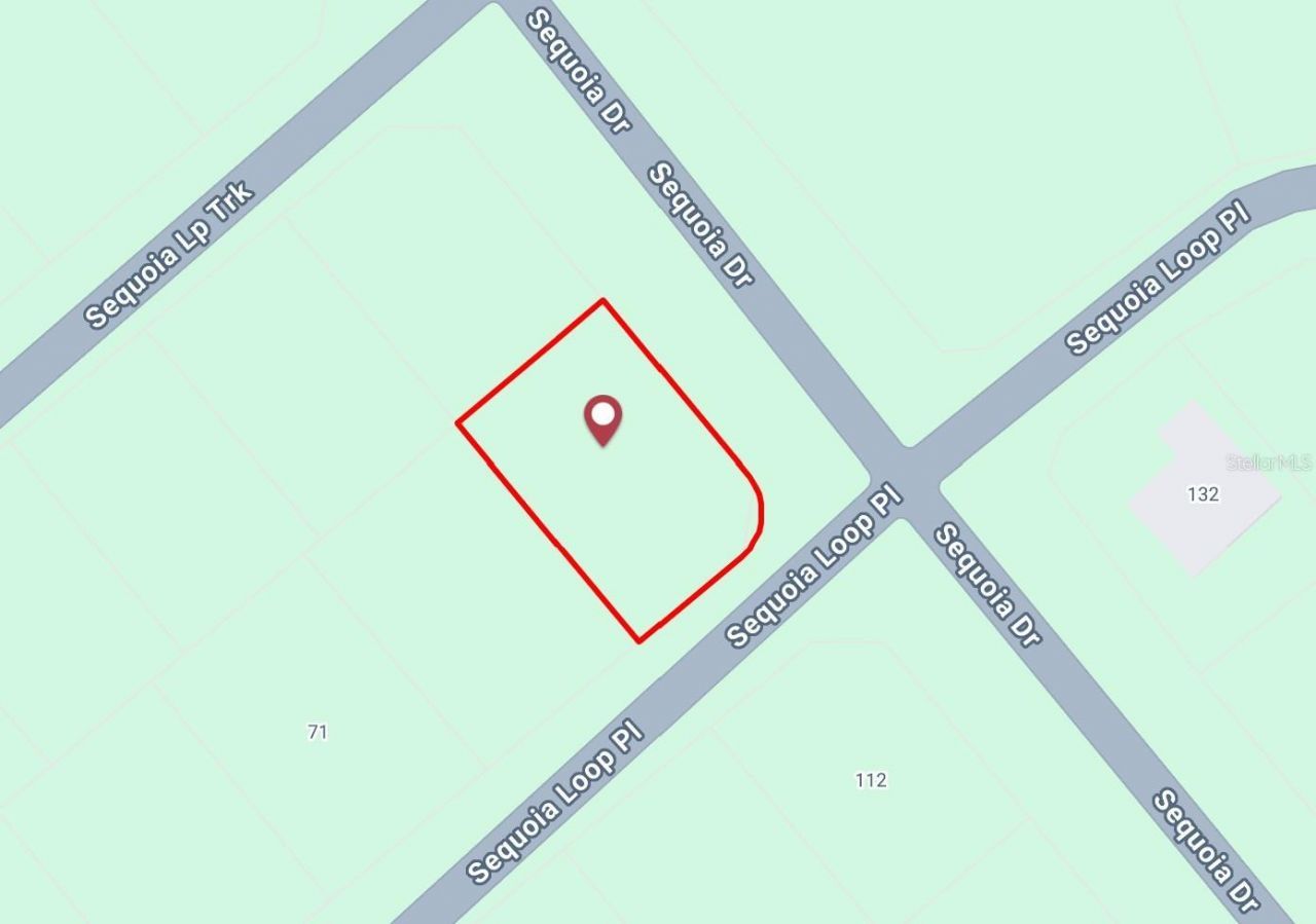 Sequoia Loop , Ocklawaha, FL 32179 Main Photo