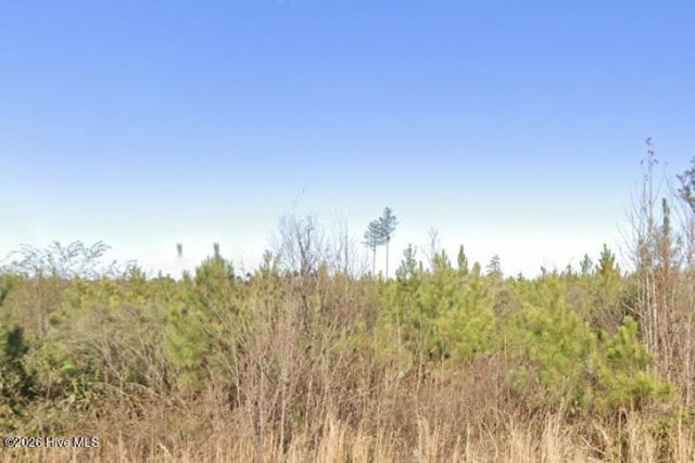 Lot 2 W Old Spring Hope Road, Spring Hope, NC 27882 Main Photo