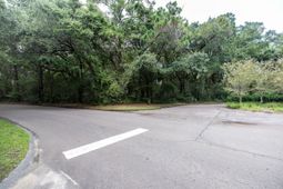 2128 Royal Pine Drive photo 4