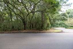 2128 Royal Pine Drive photo 4