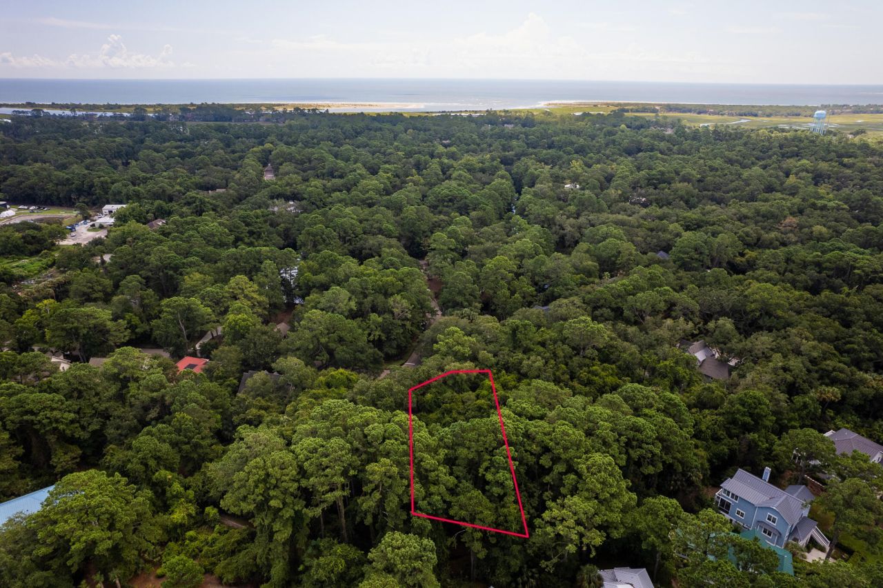 2128 Royal Pine Drive Photo 5