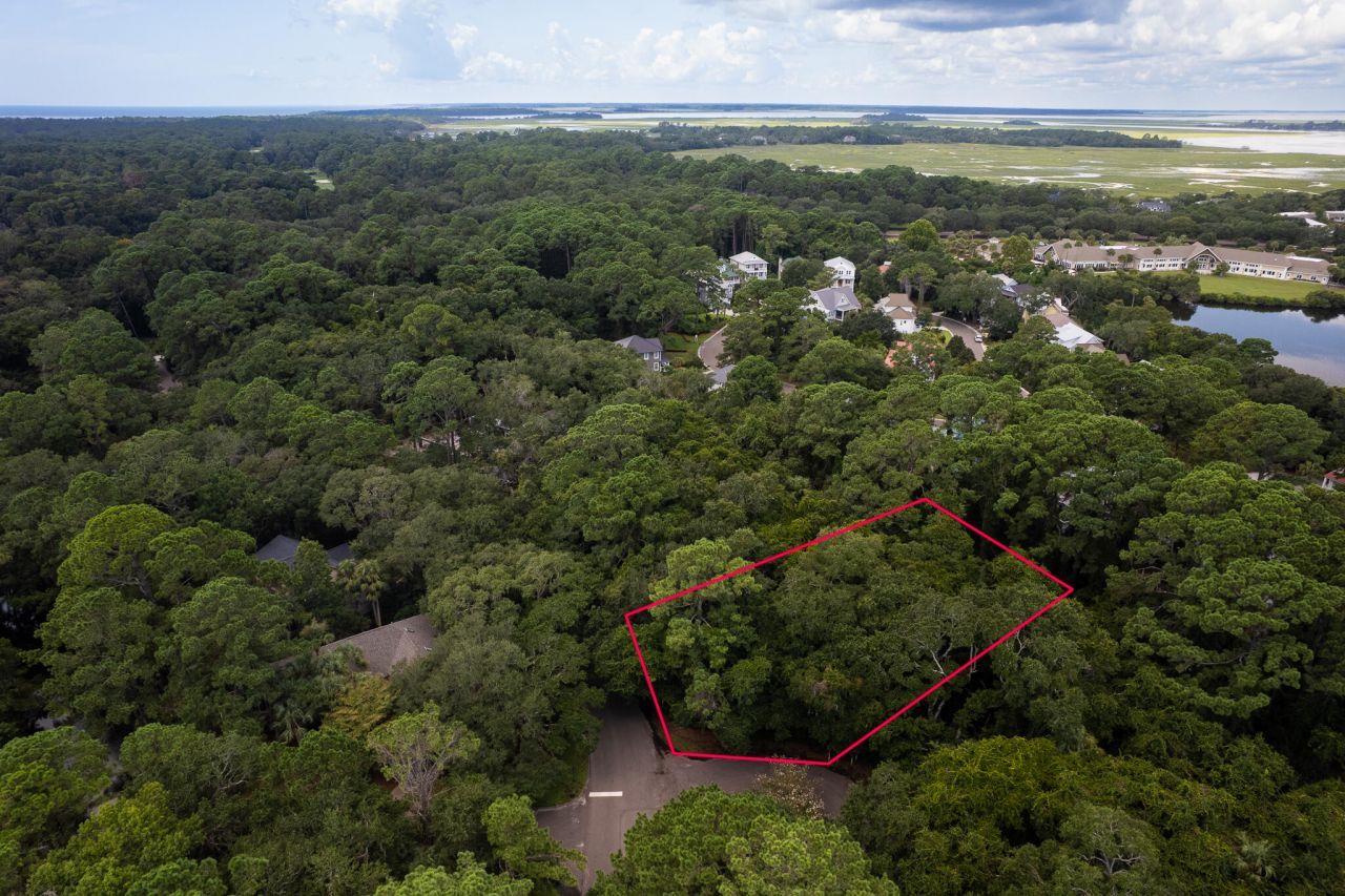 2128 Royal Pine Drive Photo 7