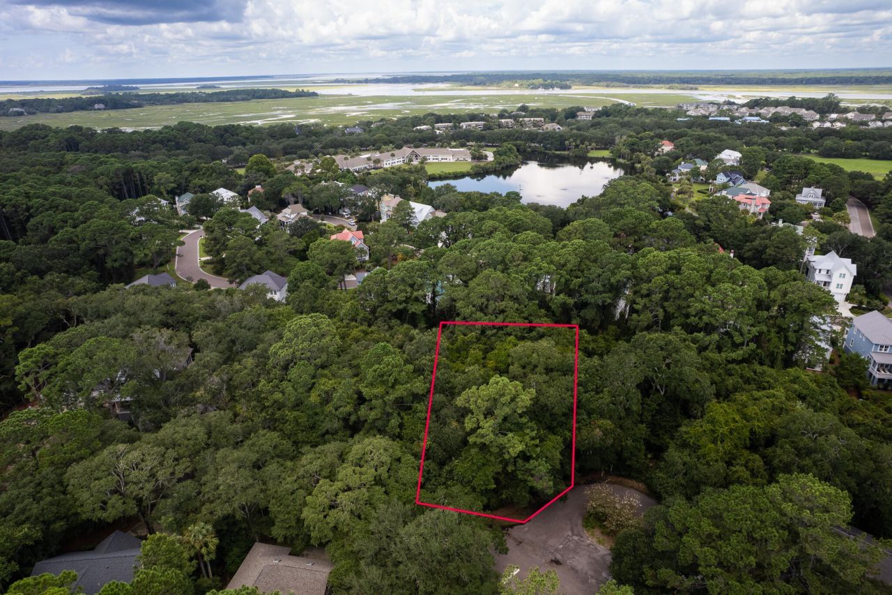 2128 Royal Pine Drive Photo 8