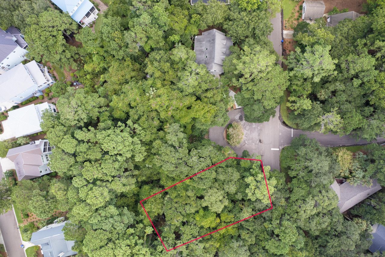 2128 Royal Pine Drive Photo 9