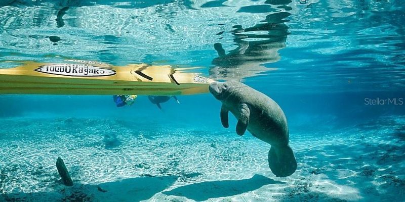 1750 W Westford Path , Hernando, FL 34442 Photo