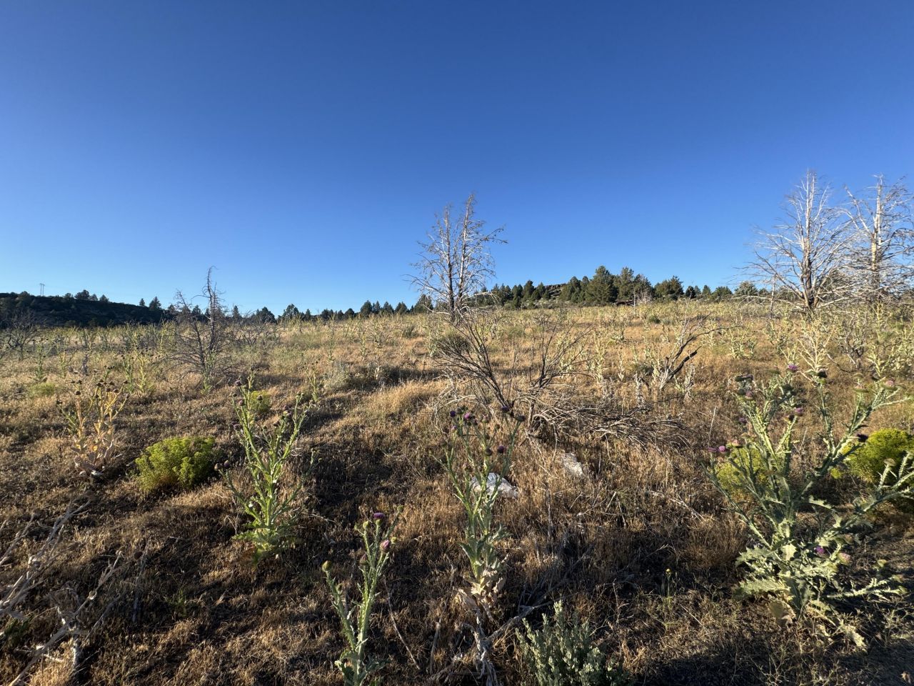 Nimrod River Park, Sprague River, OR Homes for Sale and Real