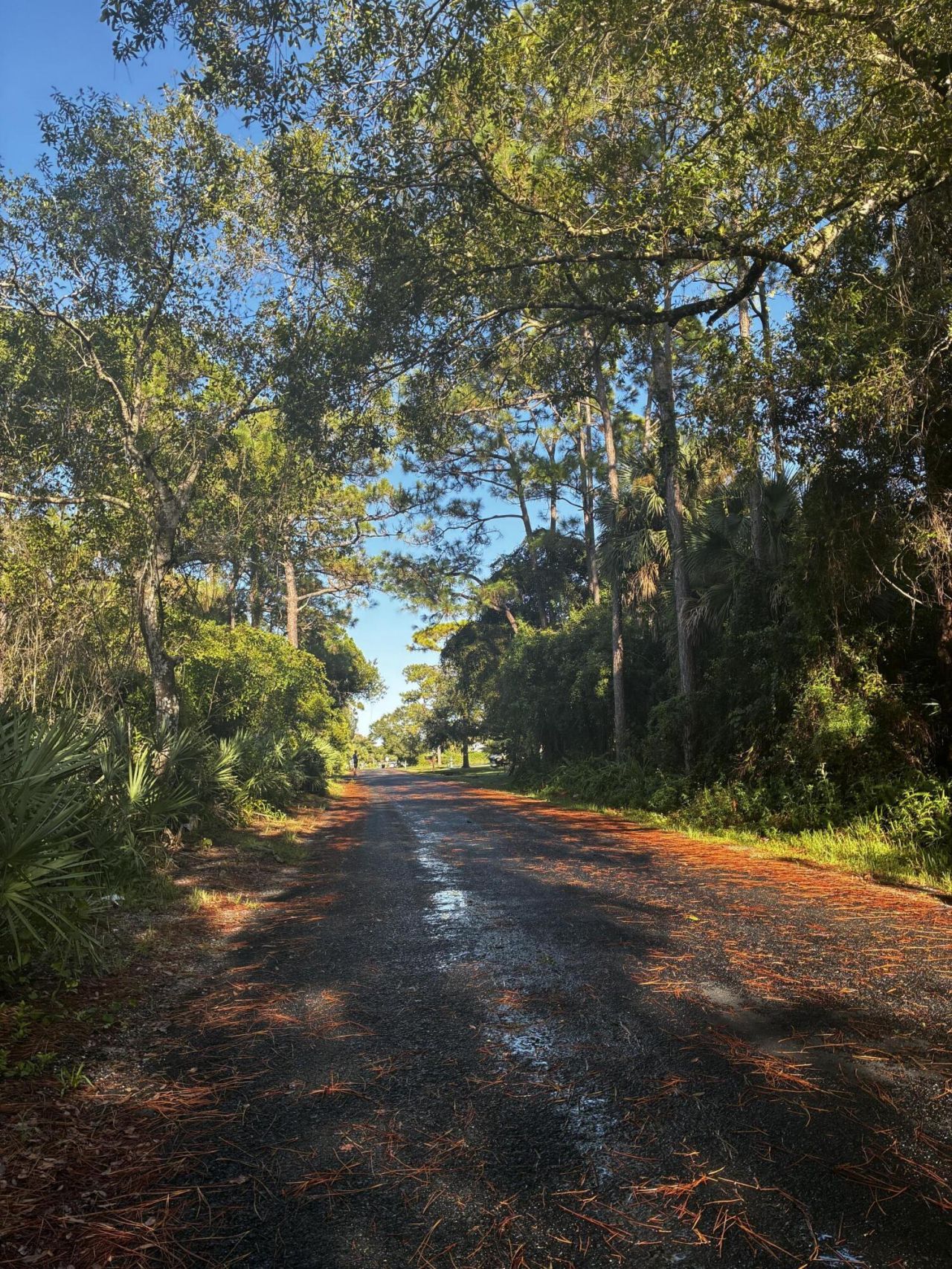 Tbd #2 Notlem Drive, Fort Pierce, FL 34982 Photo