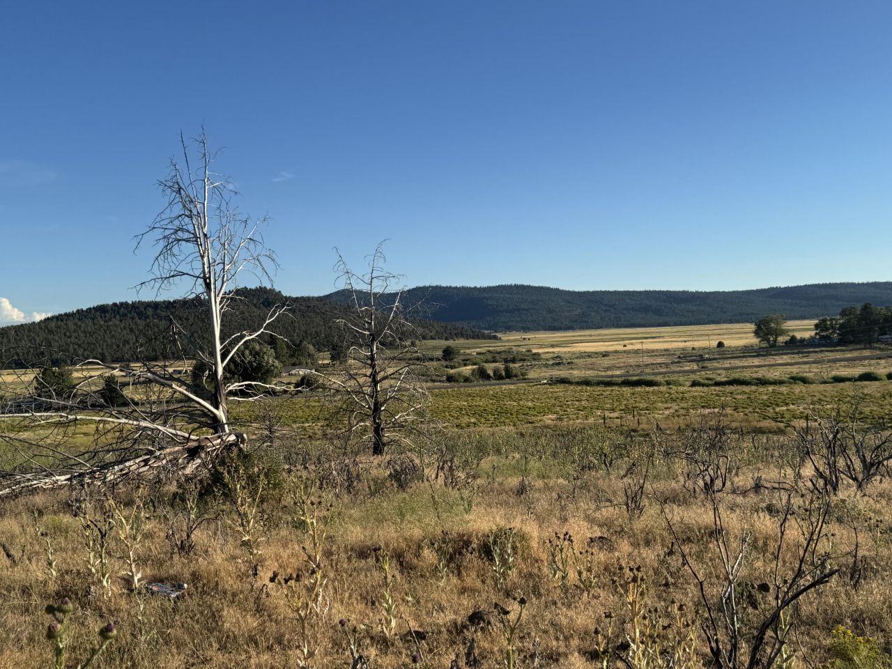 Nimrod River Park, Sprague River, OR Homes for Sale and Real