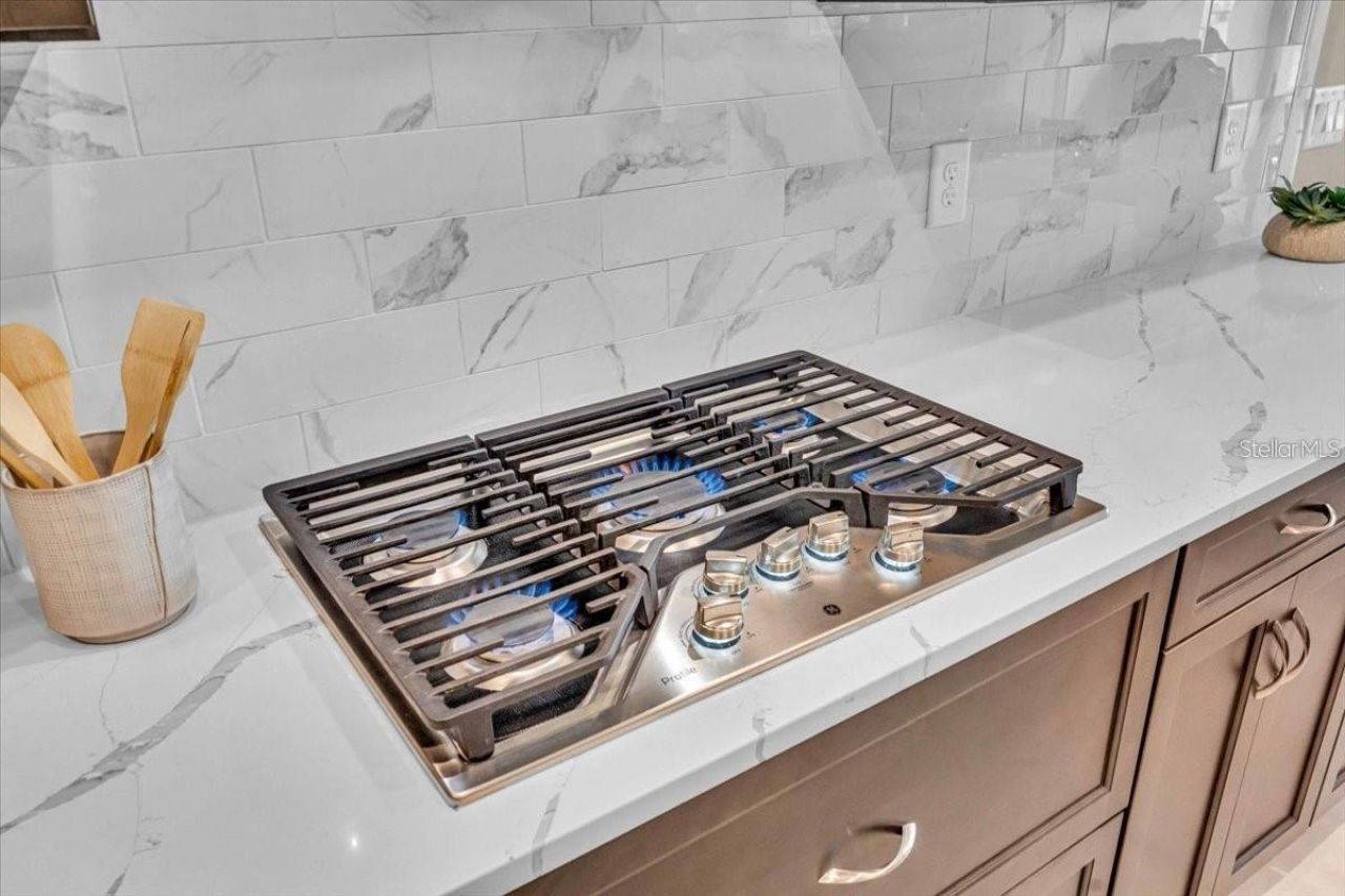 17502 Savory Mist Circle, Bradenton, FL 34211 Photo