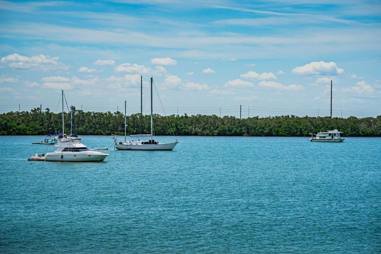 6291 Bahia Del Mar Circle , Unit 207, Saint Petersburg, FL 33715 Photo