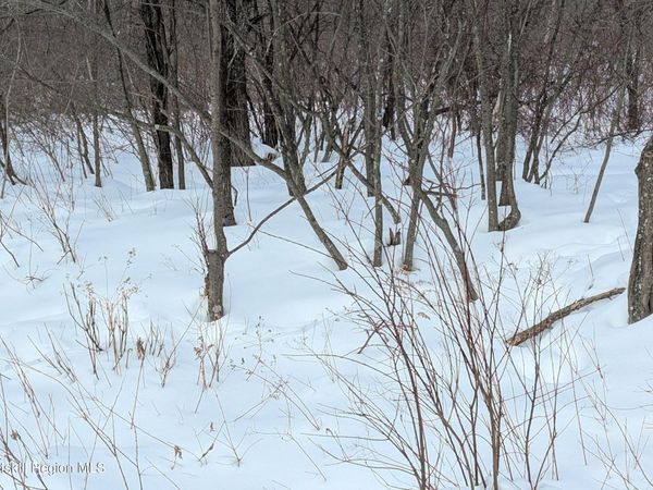 0 High Peak Road Lot 61 & 20, Windham, NY 12496