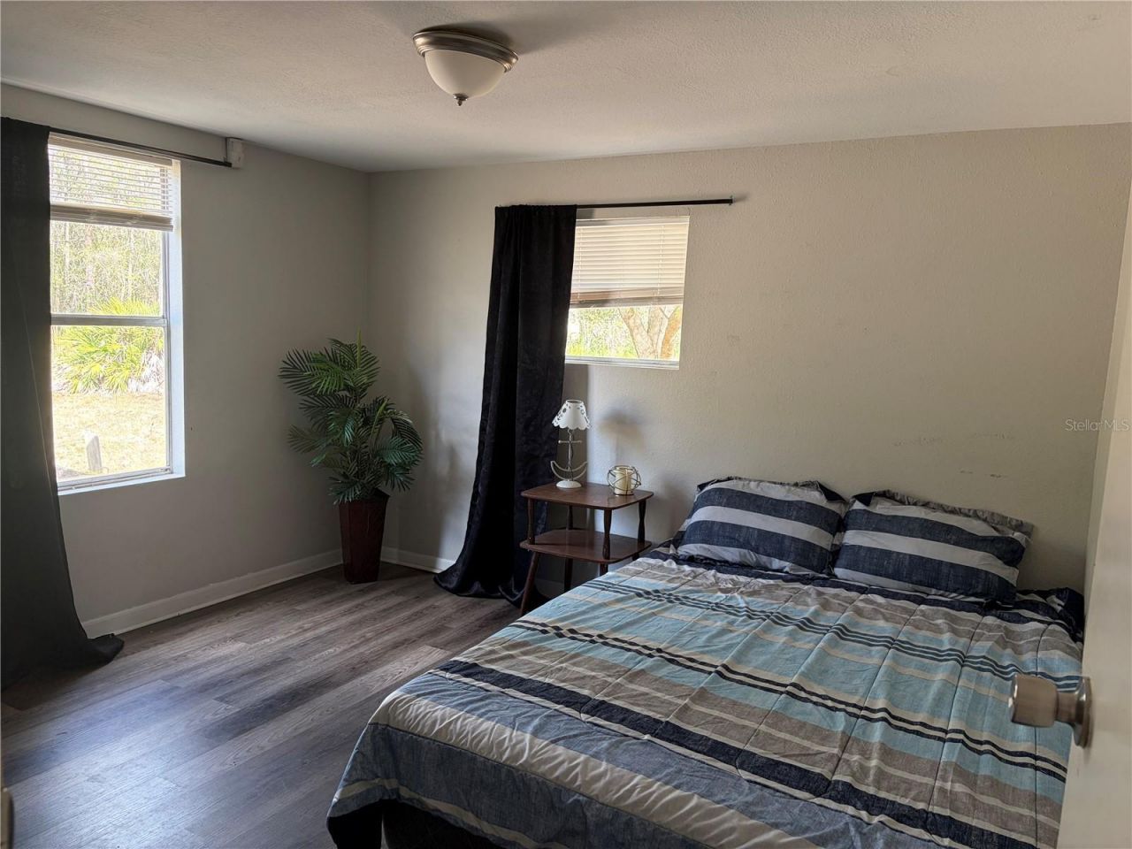 6905 Pearson Lane, Wesley Chapel, FL 33544 Photo
