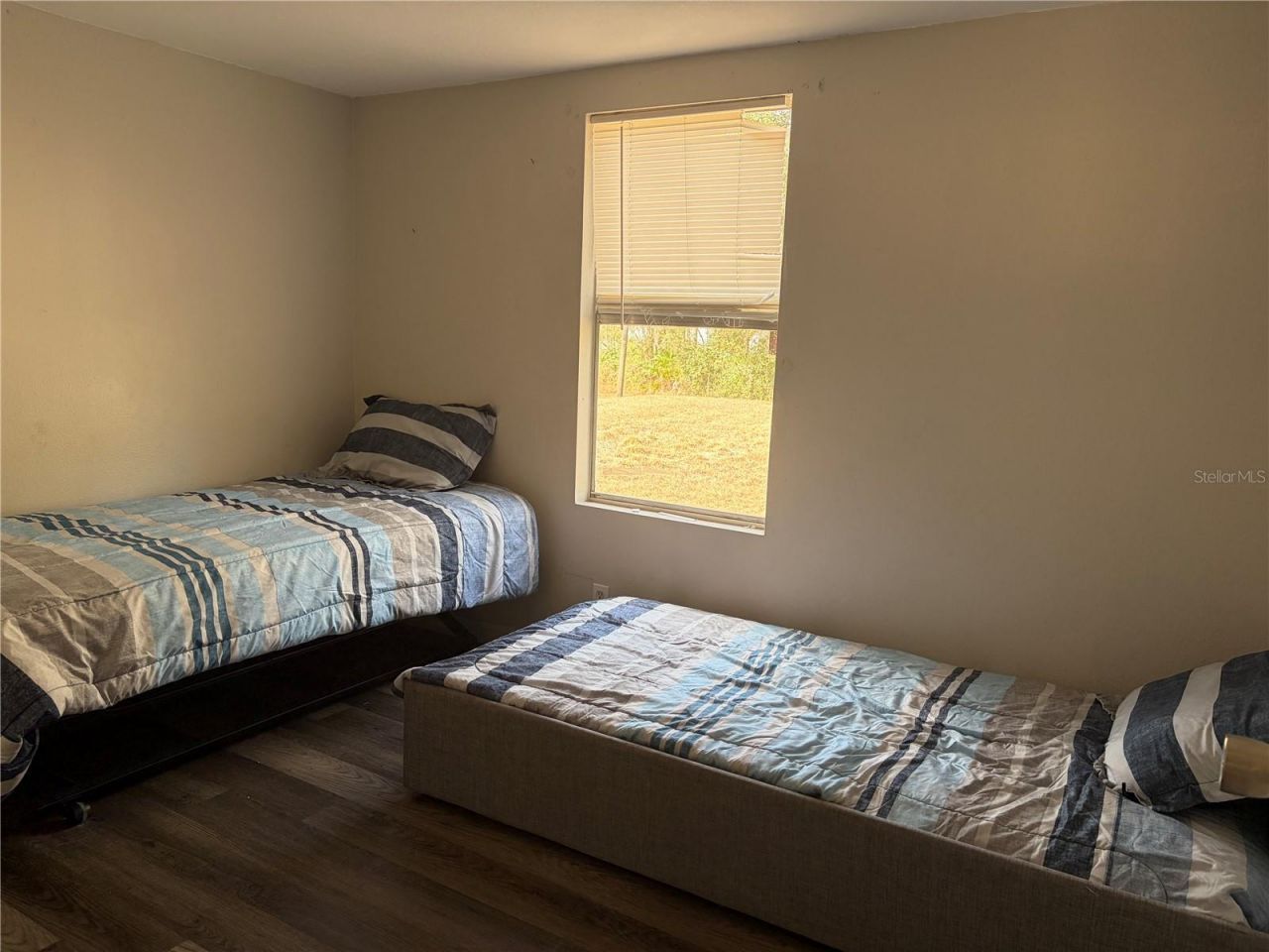 6905 Pearson Lane, Wesley Chapel, FL 33544 Photo