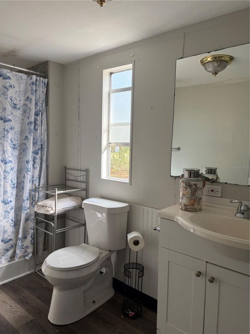 6905 Pearson Lane, Wesley Chapel, FL 33544 Photo