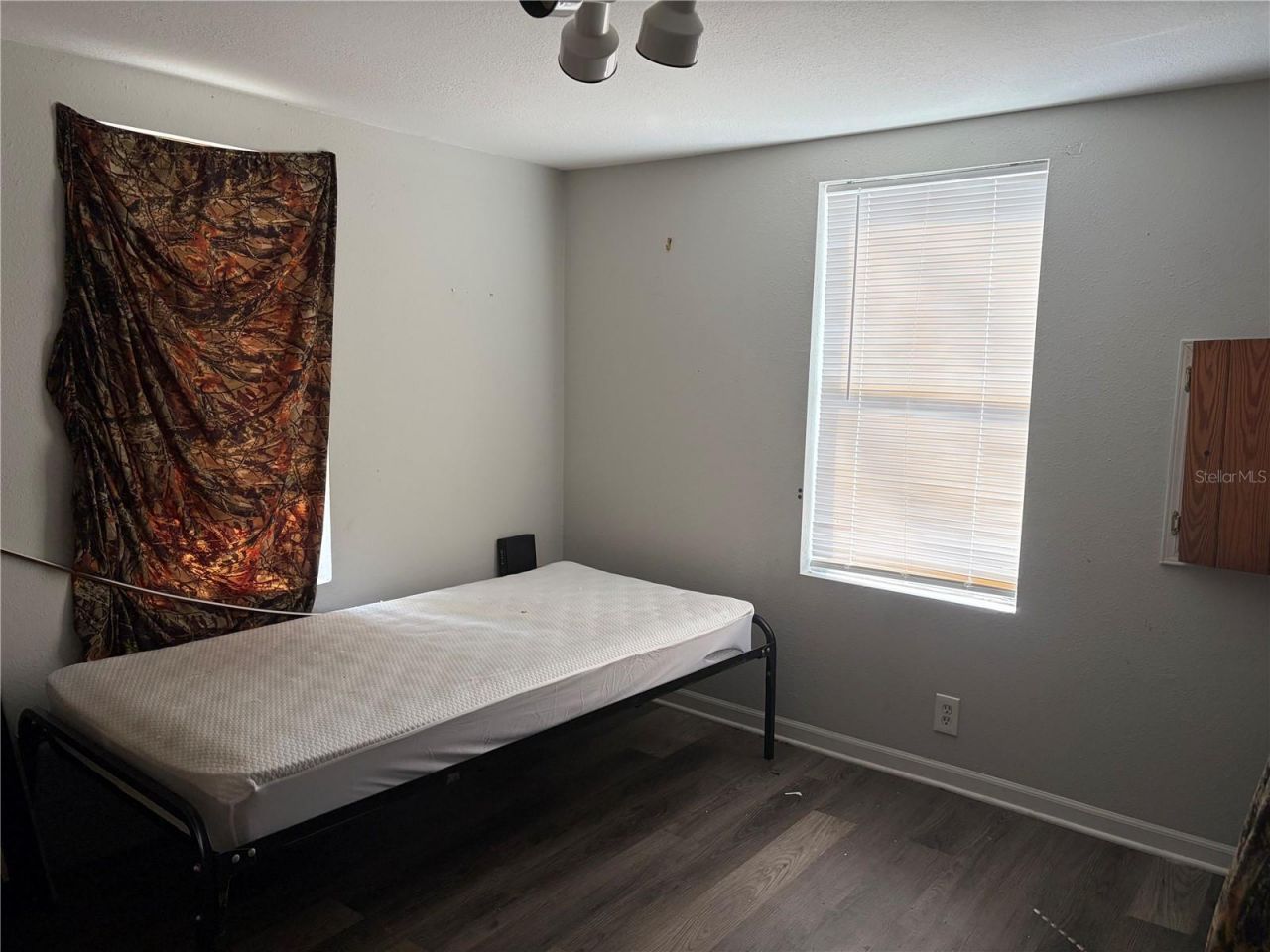 6905 Pearson Lane, Wesley Chapel, FL 33544 Photo