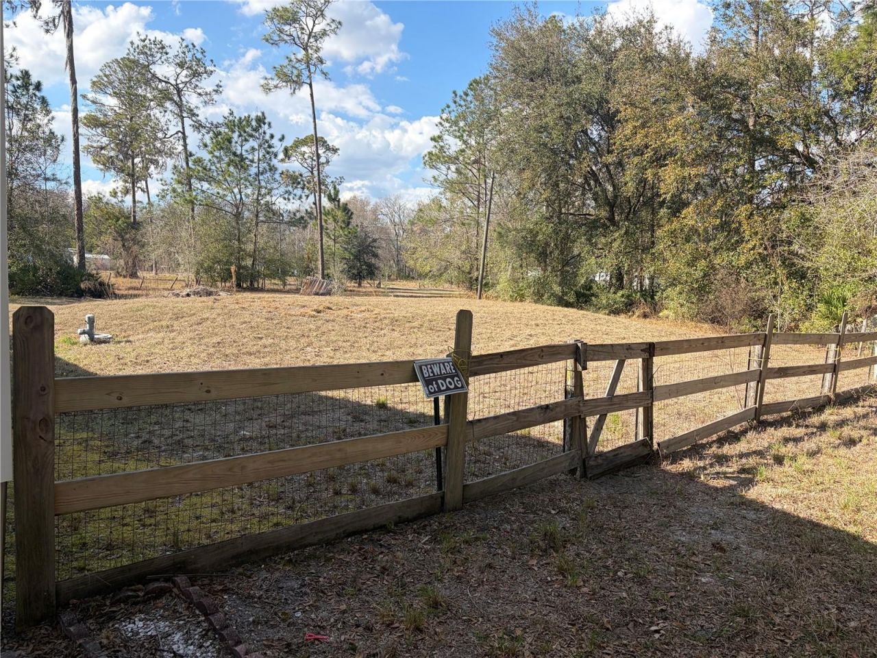 6905 Pearson Lane, Wesley Chapel, FL 33544 Photo