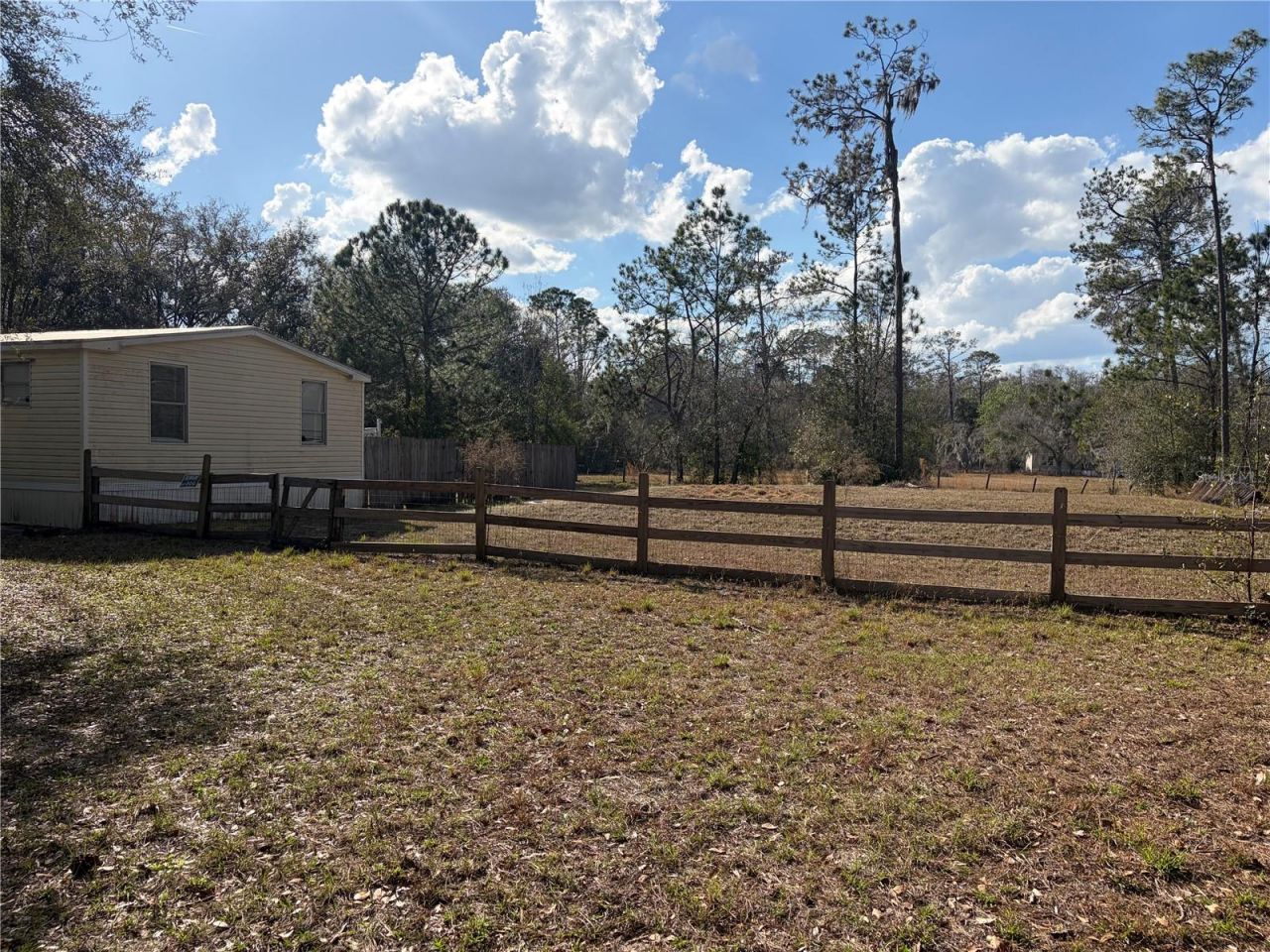 6905 Pearson Lane, Wesley Chapel, FL 33544 Photo