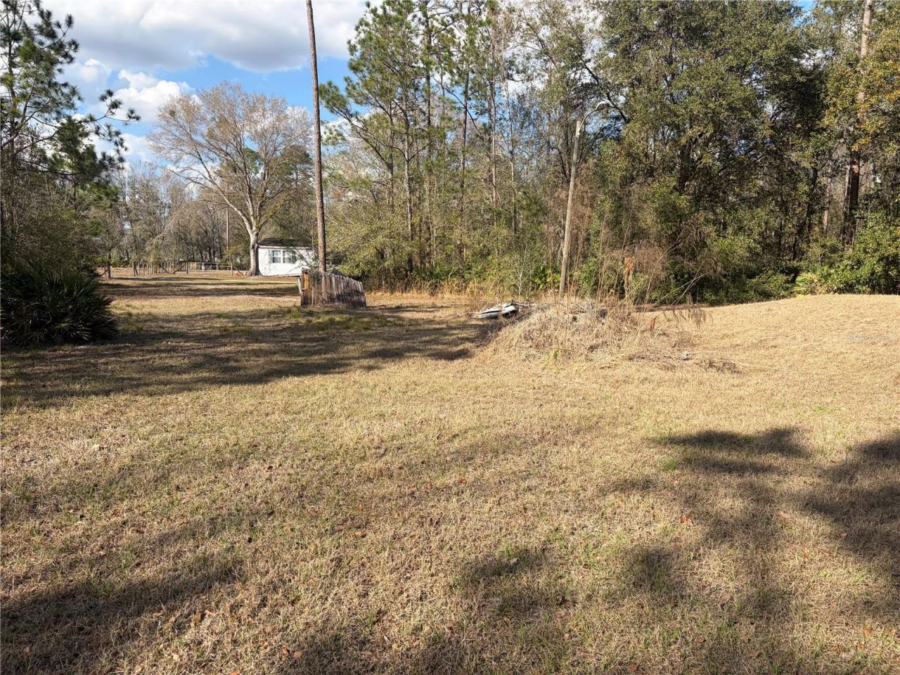 6905 Pearson Lane, Wesley Chapel, FL 33544 Photo