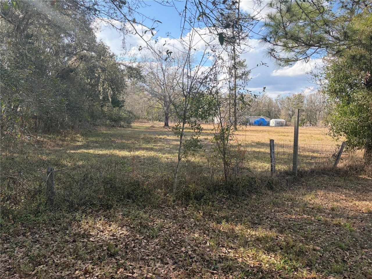 6905 Pearson Lane, Wesley Chapel, FL 33544 Photo