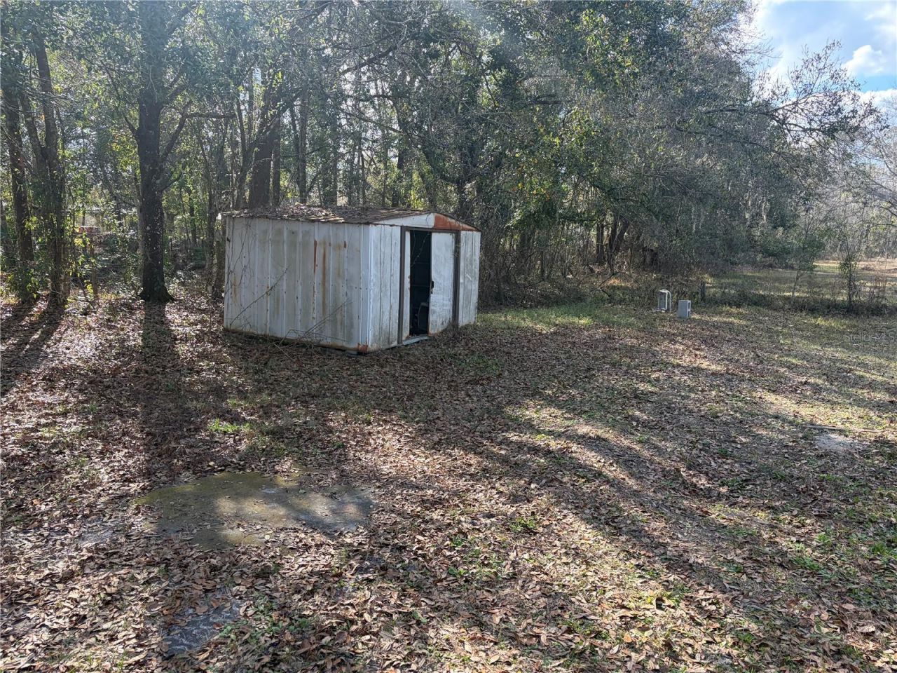 6905 Pearson Lane, Wesley Chapel, FL 33544 Photo
